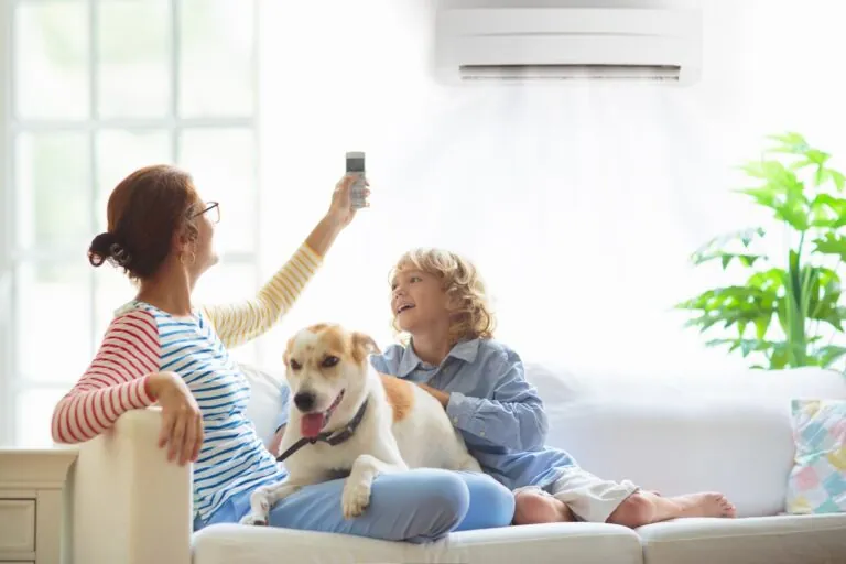 Mother and child with air conditioner remote control.